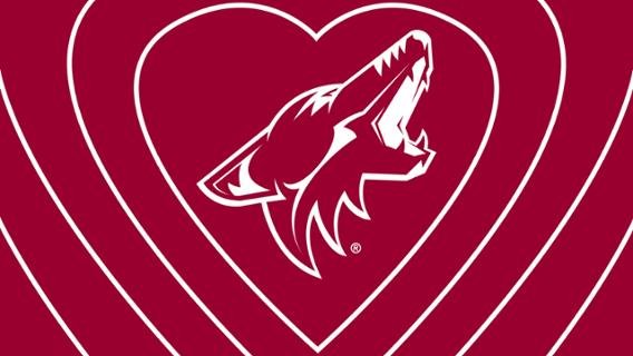 Phoenix Coyotes Season Tickets: The Ultimate Experience for True Fans